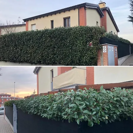 Serendipity ベンティヴォーリオ