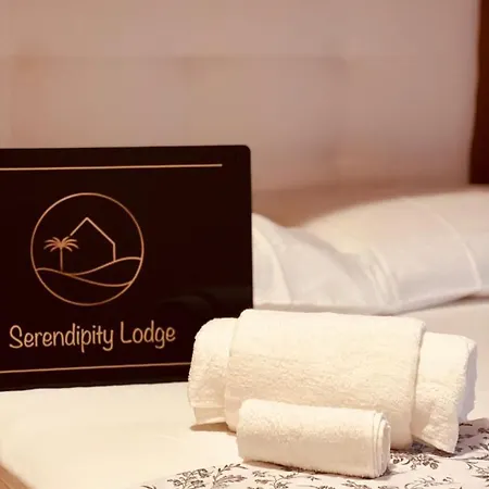 Serendipity * 벤티볼리오