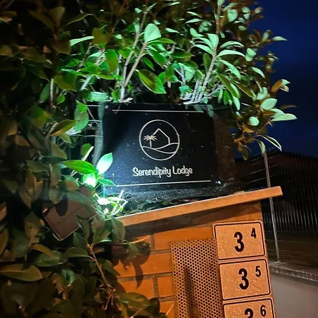 Serendipity Bentivoglio