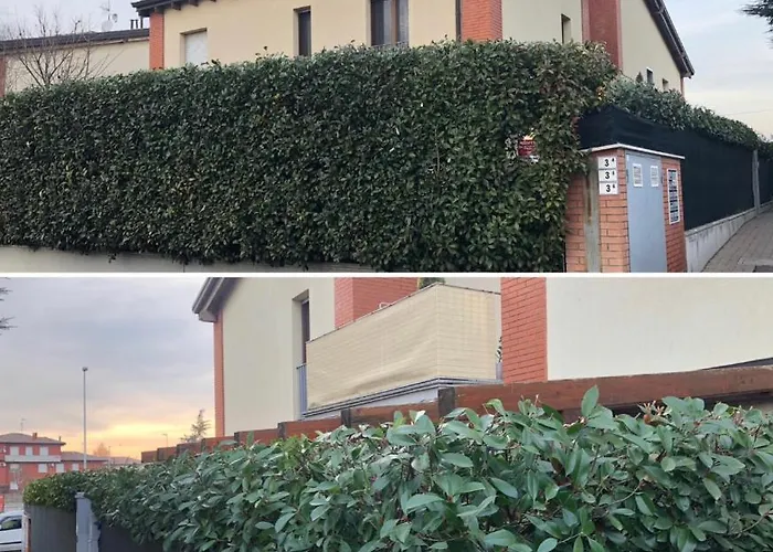 Serendipity ベンティヴォーリオ